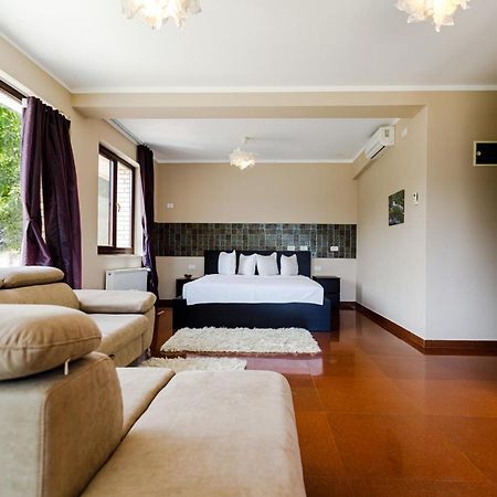 Rex Infinity View 4* Cazanele Dunarii Dubova Exterior foto